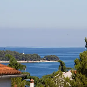 https://studio-apartman-nega-1.in-istria.net